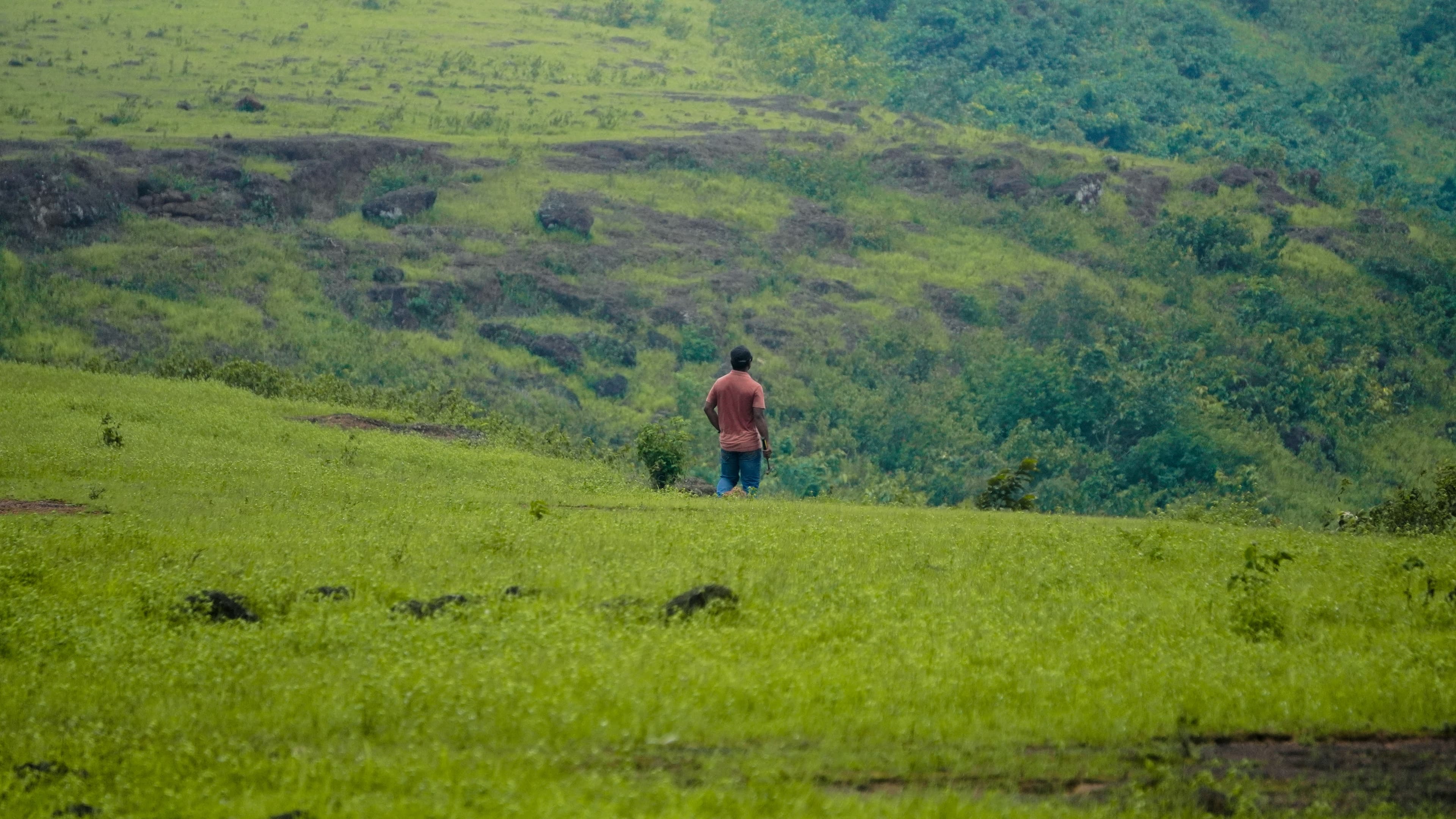 A stunning view of the Plateau
