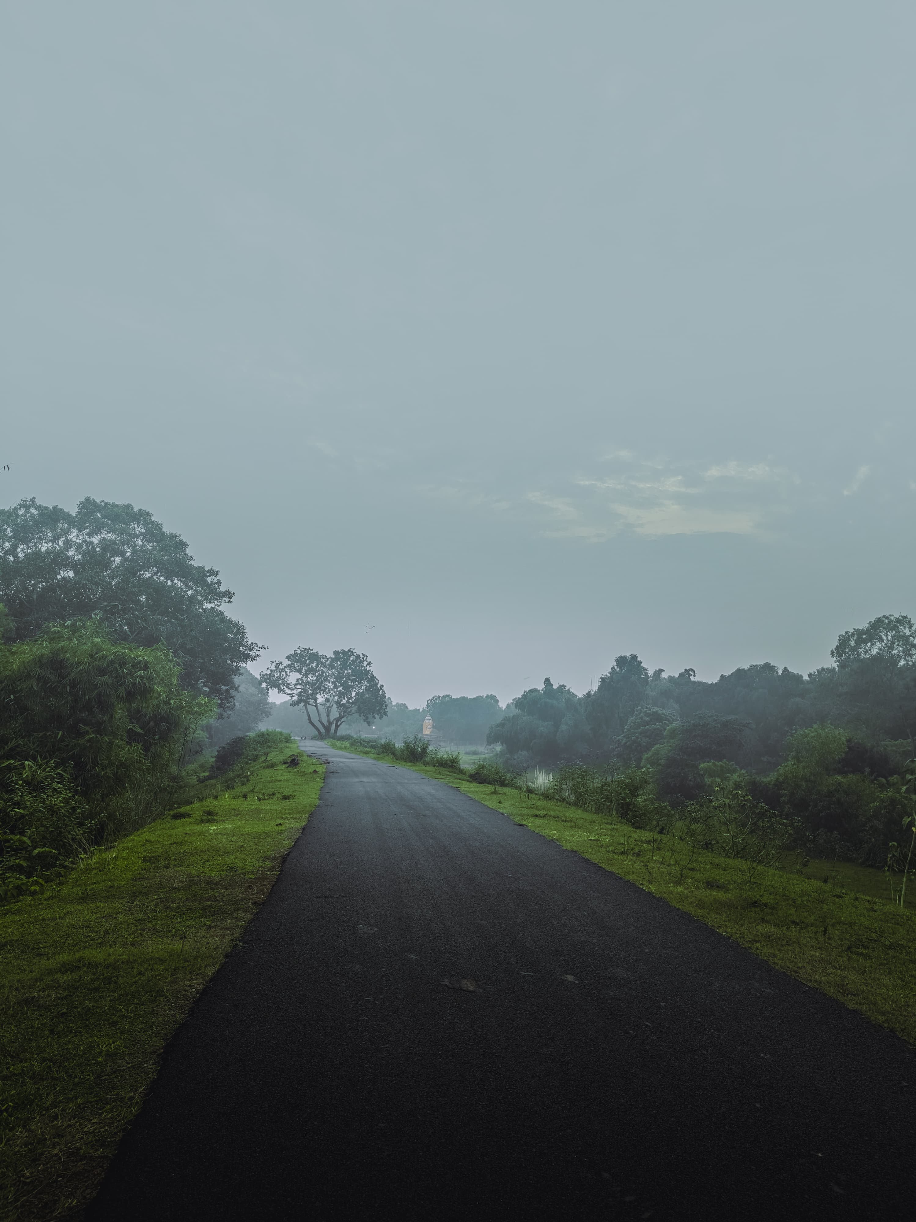 The road surrounded by greenery and scenic beauty