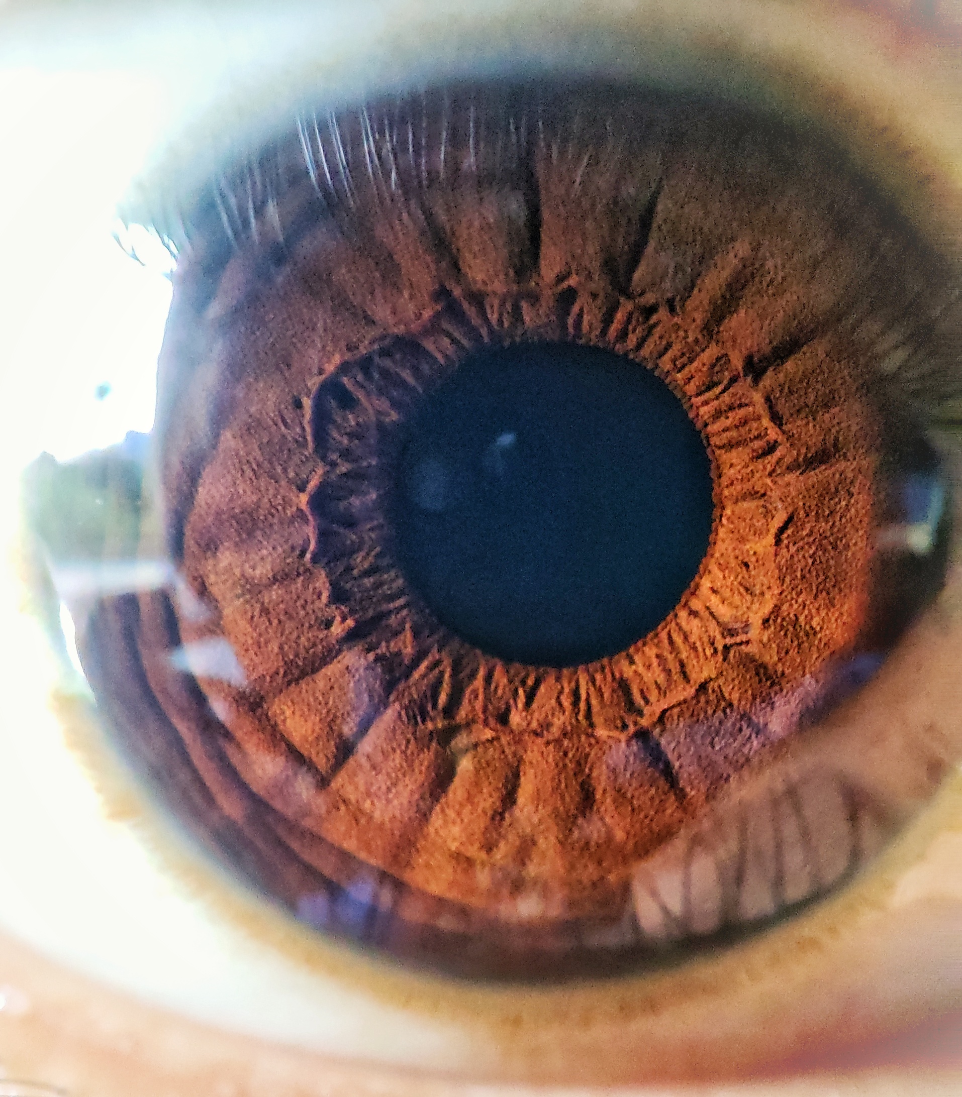 Macro photograph 14