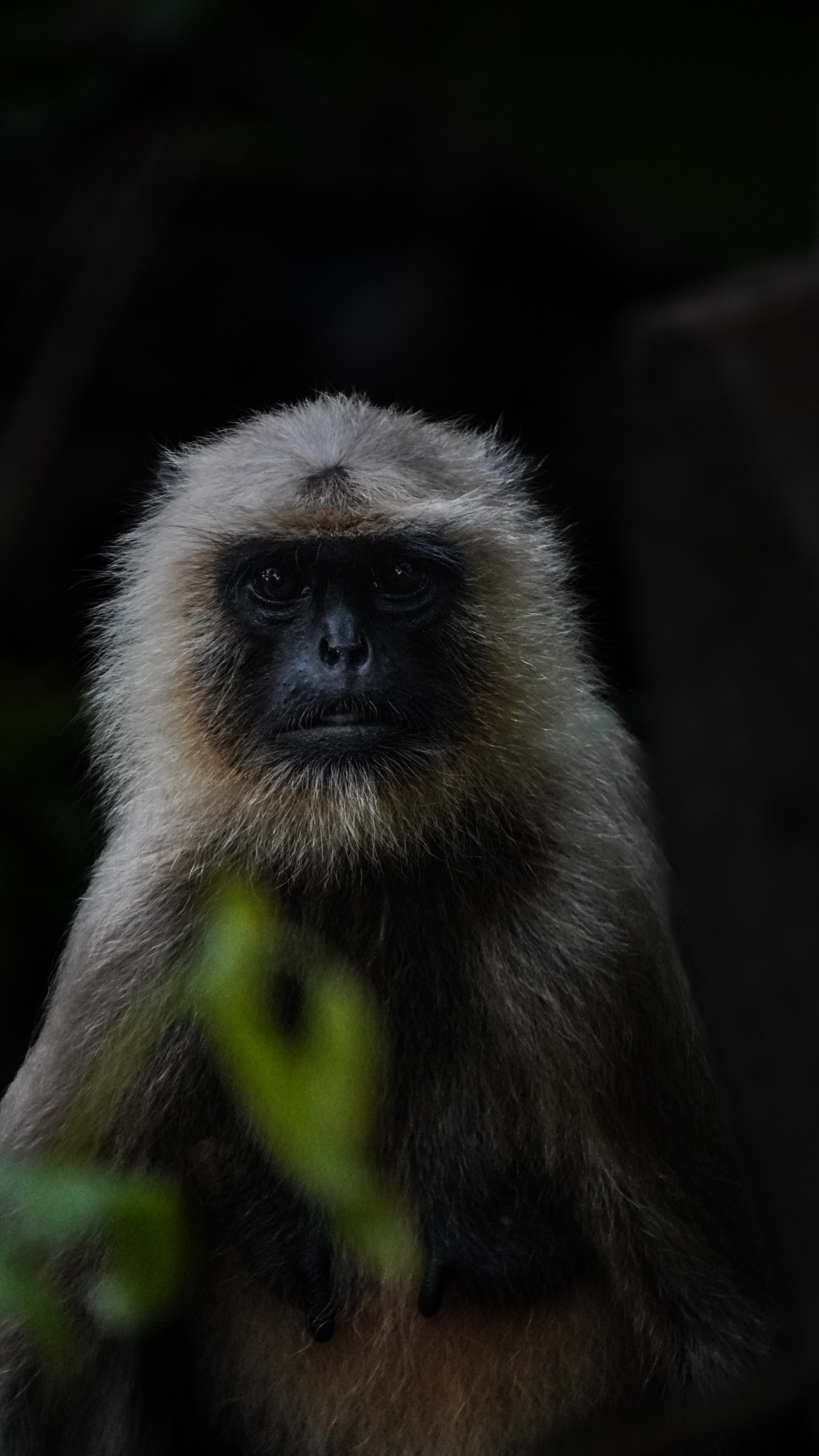 Wildlife photograph 15